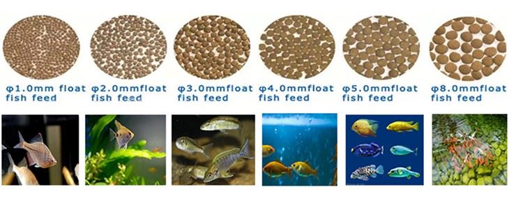 浮遊魚用飼料製造機